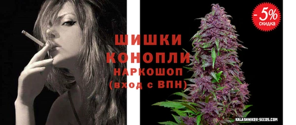 эйфоретик Баксан