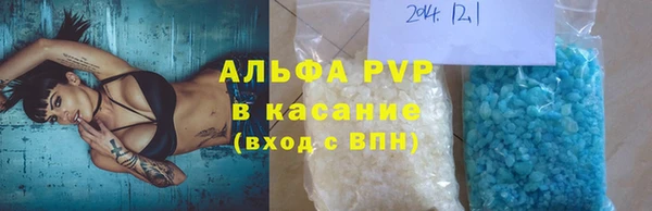 эйфоретик Баксан