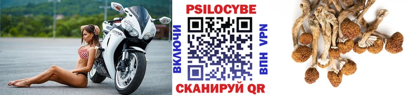 продажа наркотиков Бологое Псилоцибиновые грибы мухоморы